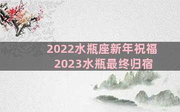 2022水瓶座新年祝福 2023水瓶最终归宿